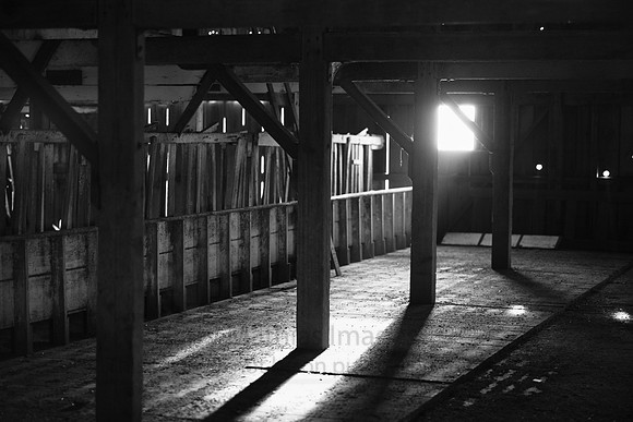 L1000222 A B&W 100+ year old barn