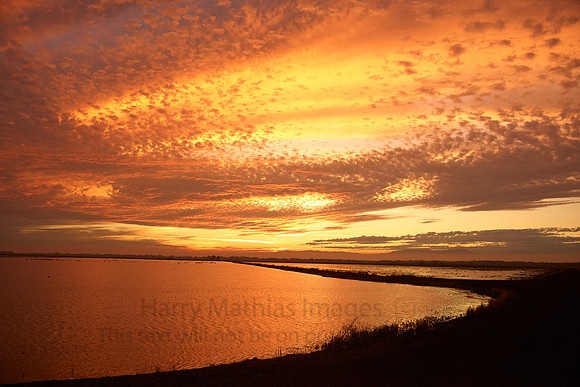 L1002569 Sunset on the Pacific Flyway