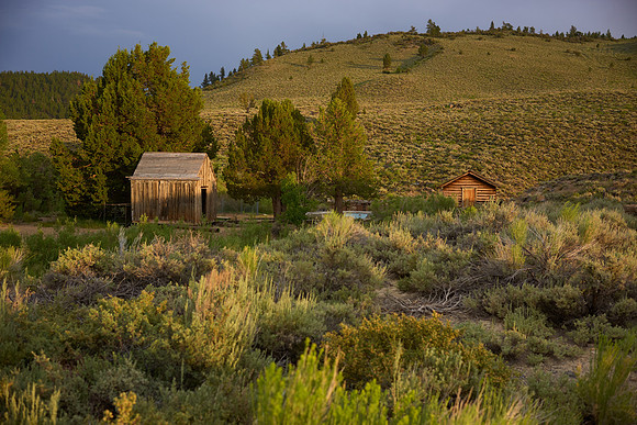 L1002954 Farm in the Eastern Sierra's