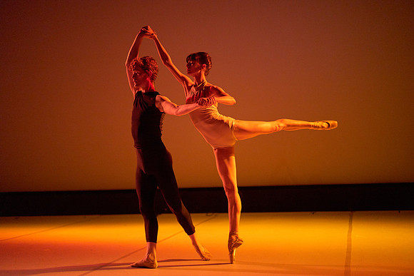 L1020348Capital Dance Project 2018