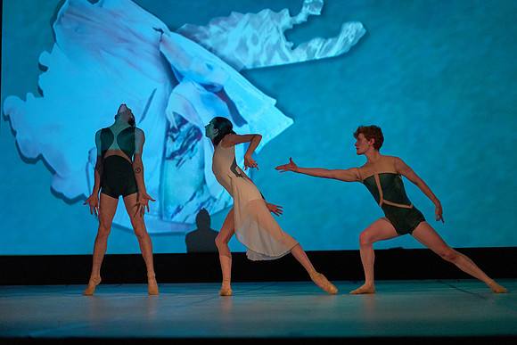 L1020365Capital Dance Project 2018
