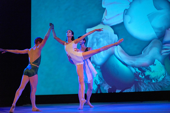L1020408Capital Dance Project 2018