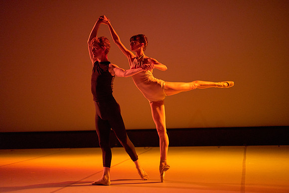 L1020350Capital Dance Project 2018